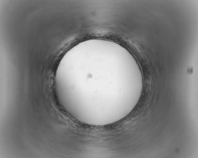 X0000091081349200709041232