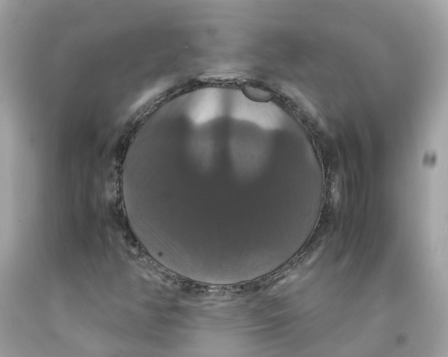 X0000091081350200709041232