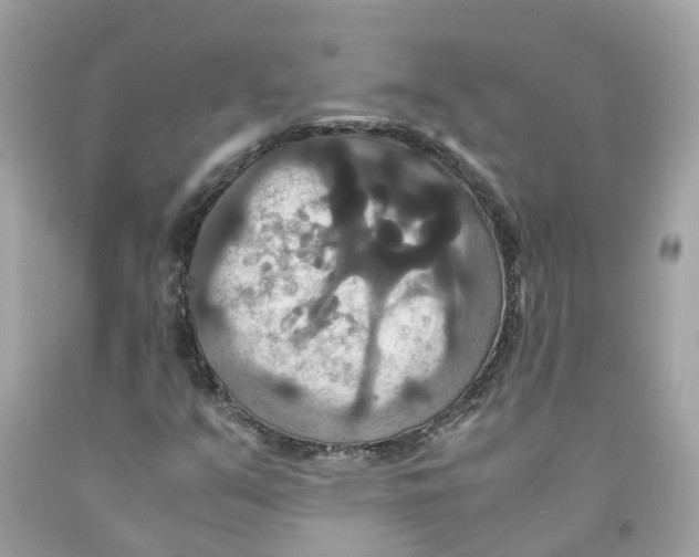 X0000091081351200709041232