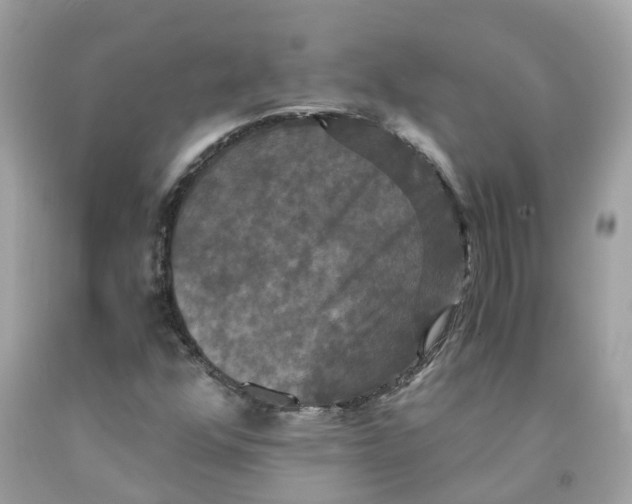 X0000091081352200709041232