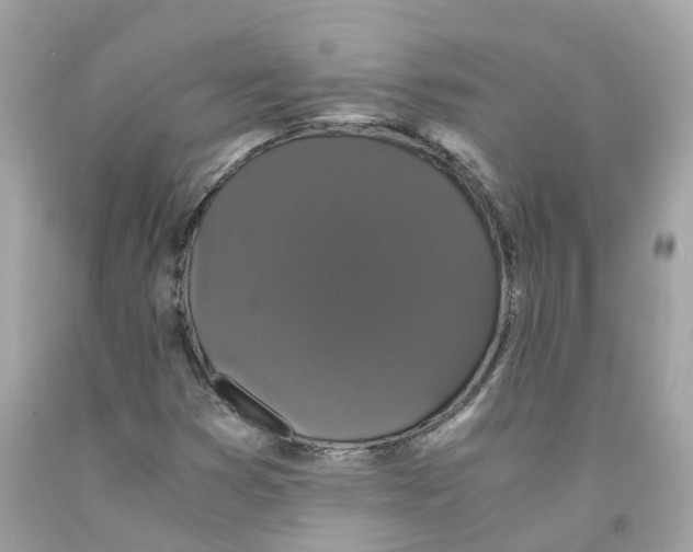 X0000091081353200709041232