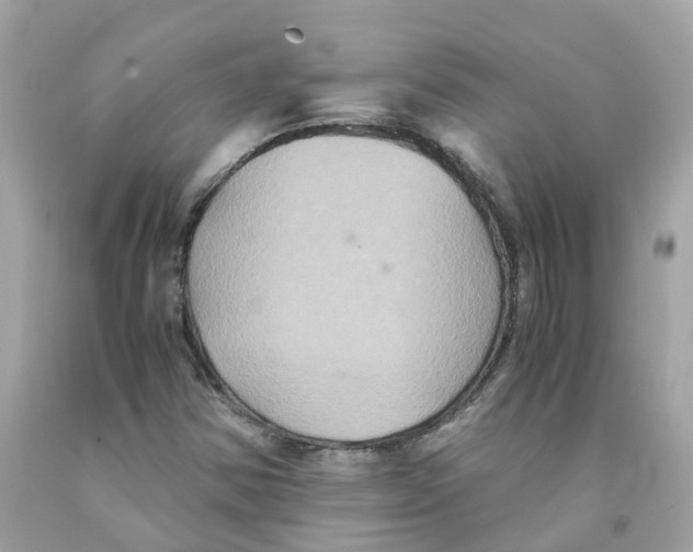 X0000091081354200709041232