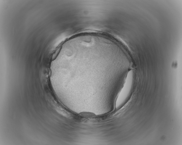 X0000091081355200709041232