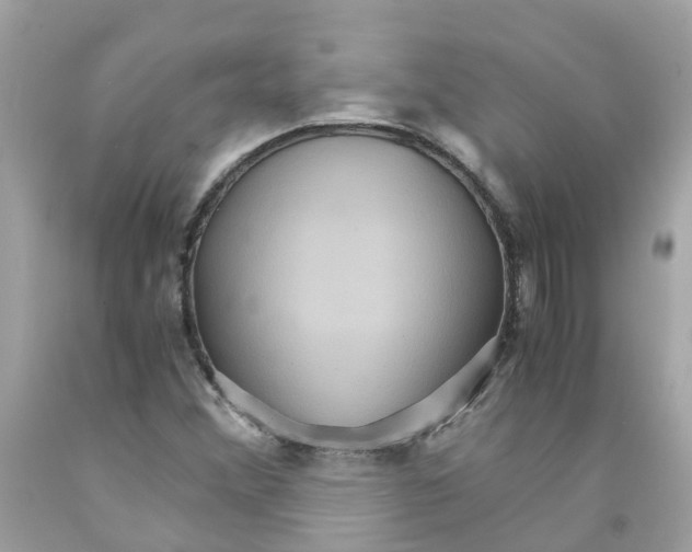 X0000091081356200709041231