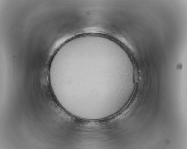 X0000091081358200709041231