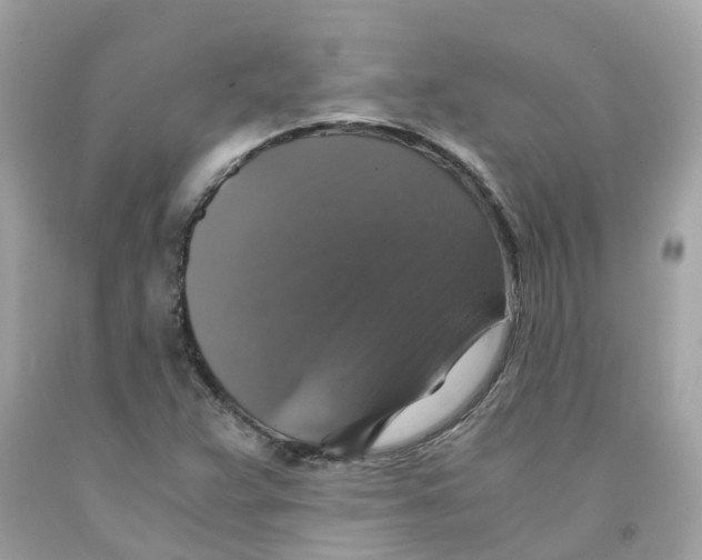 X0000091081359200709041231