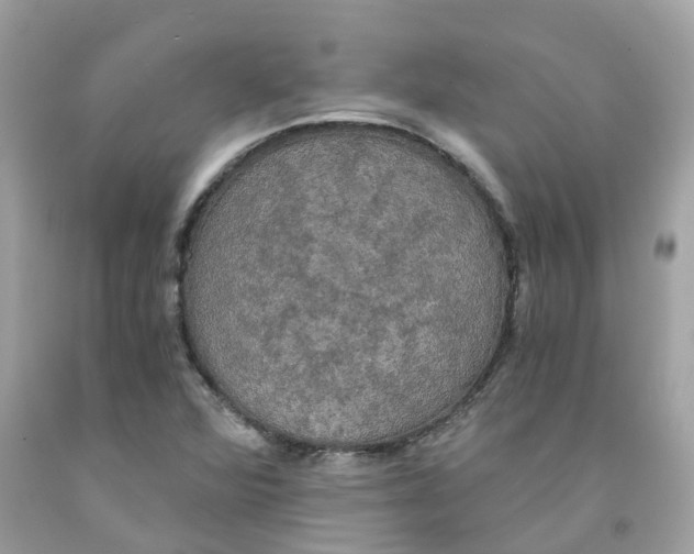 X0000091081360200709041231