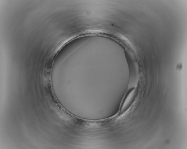 X0000091081361200709041231