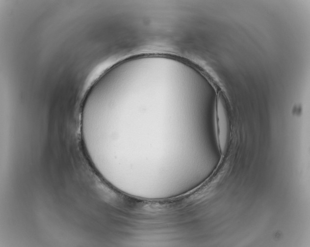 X0000091081366200709041231