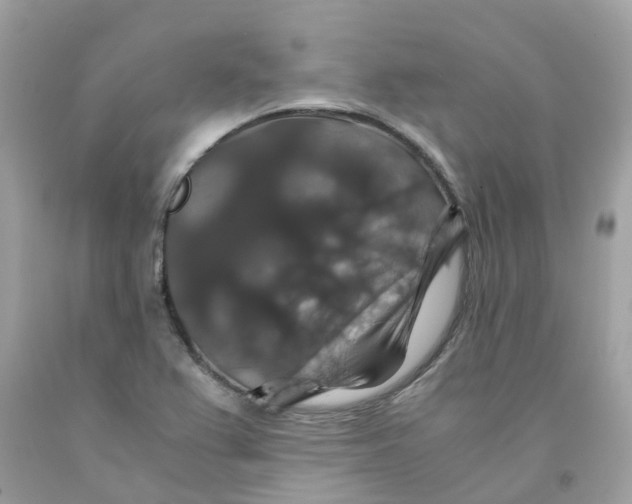 X0000091081367200709041231