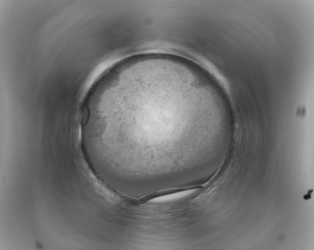 X0000091081368200709041231