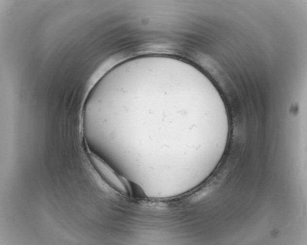 X0000091081370200709041231