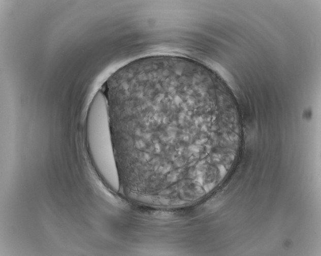 X0000091081371200709041231