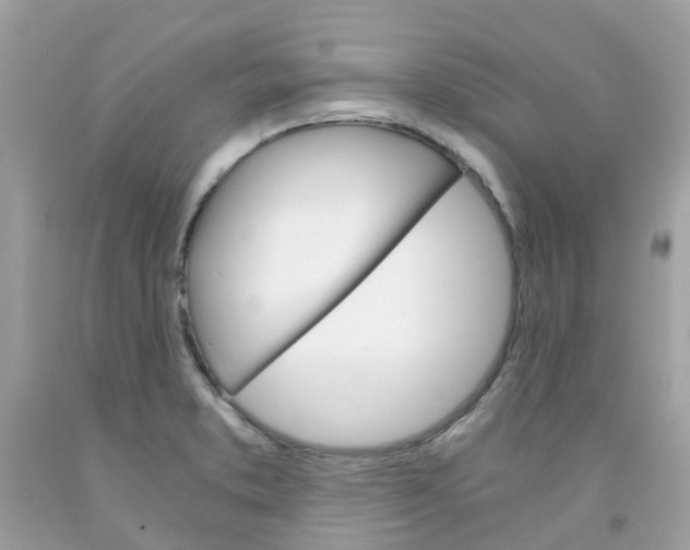 X0000091081373200709041231