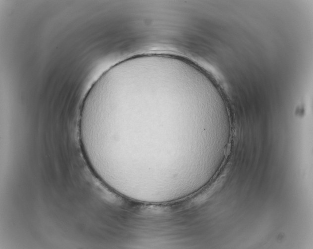 X0000091081374200709041231