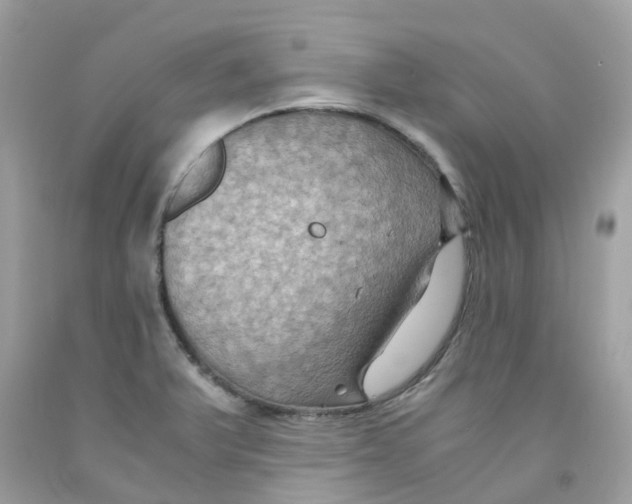 X0000091081375200709041231