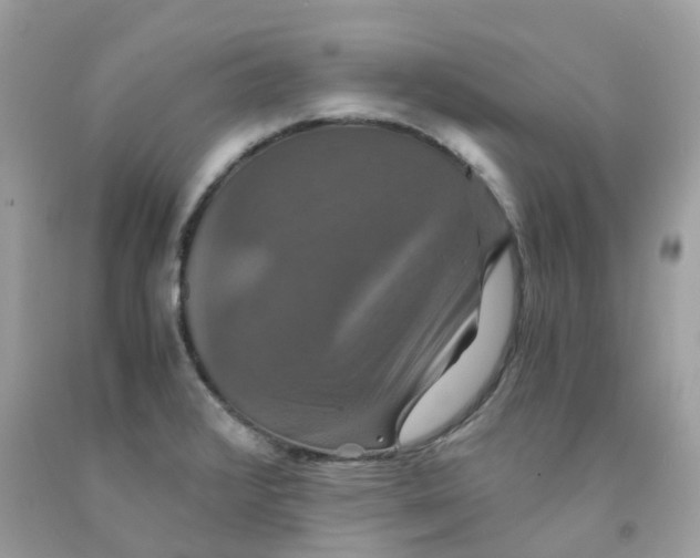 X0000091081376200709041231