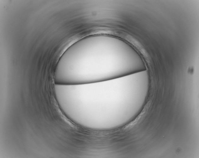 X0000091081377200709041231