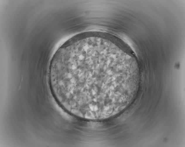 X0000091081379200709041231