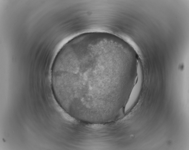 X0000091081380200709041231