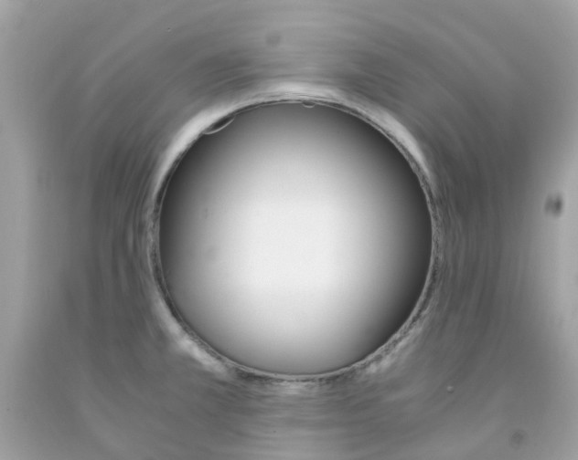 X0000091081381200709041231