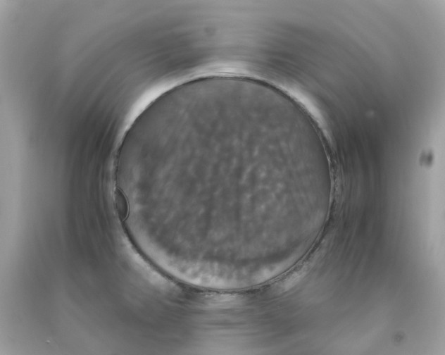 X0000091081382200709041231