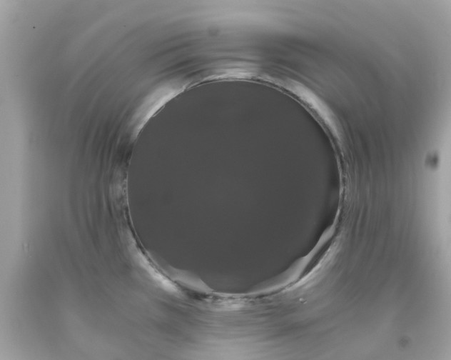 X0000091081385200709041231