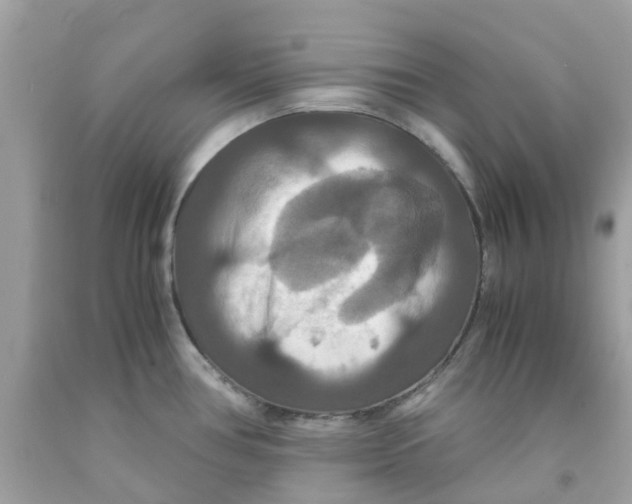 X0000091081386200709041231