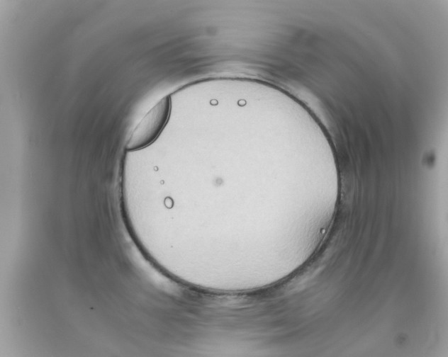 X0000091081387200709041231