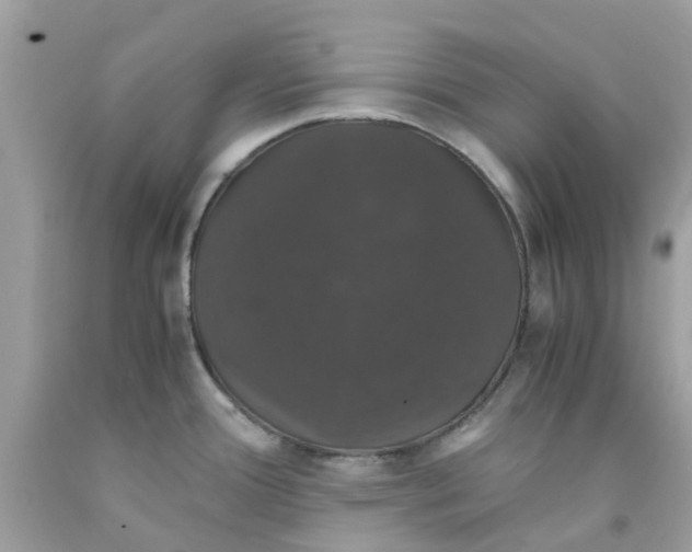 X0000091081388200709041231