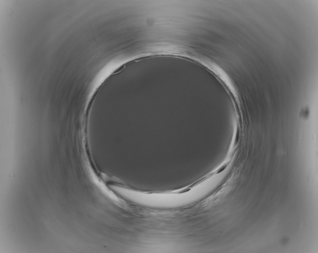 X0000091081389200709041231