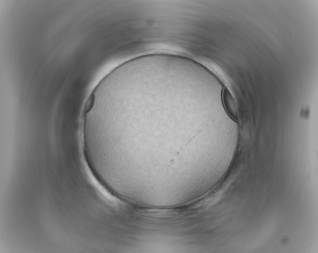 X0000091081391200709041231