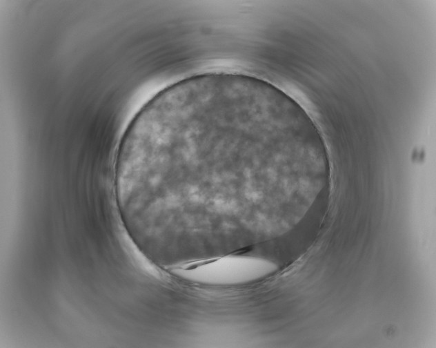 X0000091081392200709041231