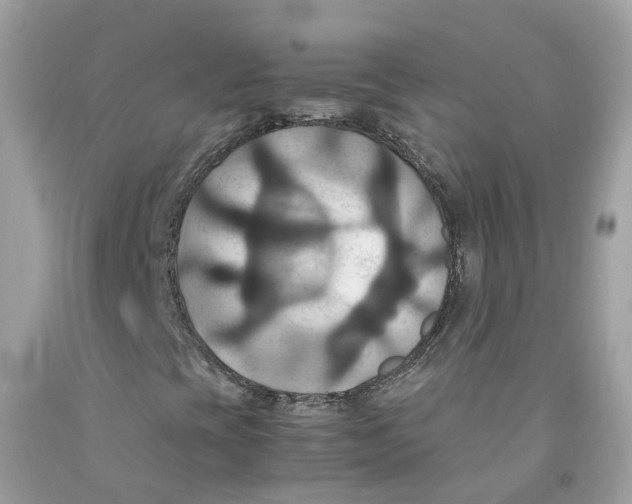 X0000091081393200709041230