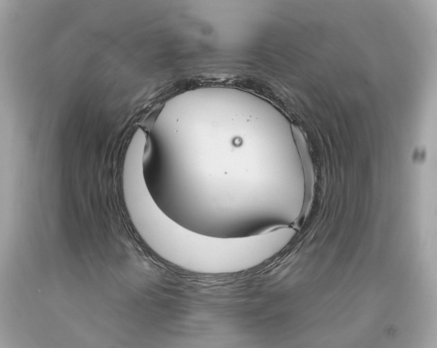 X0000091081394200709041230