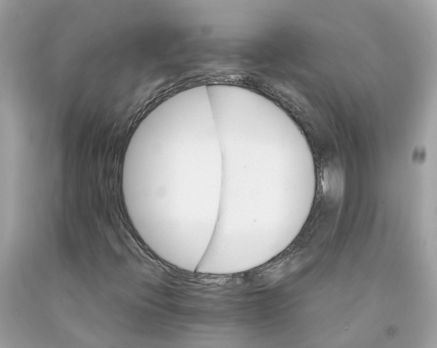 X0000091081396200709041230