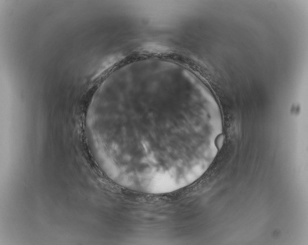 X0000091081397200709041230