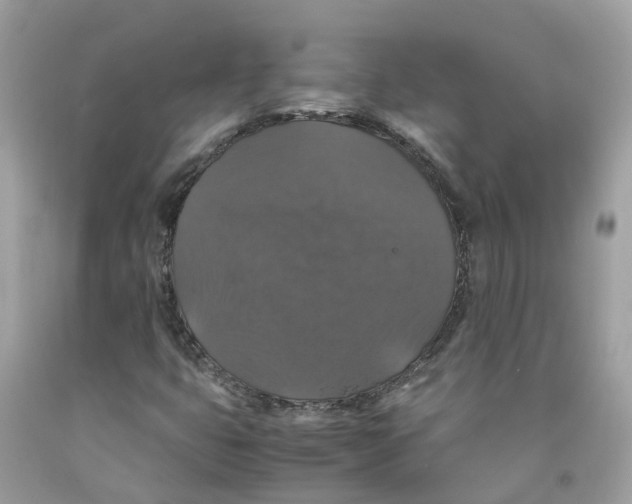 X0000091081399200709041230