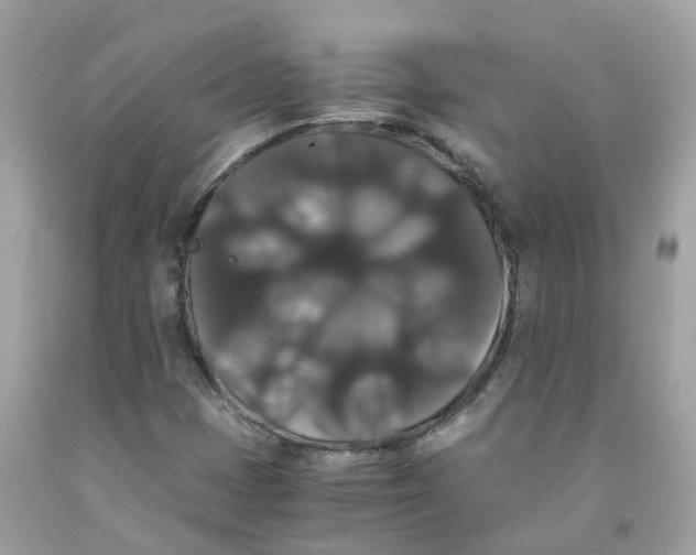 X0000091081401200709041230