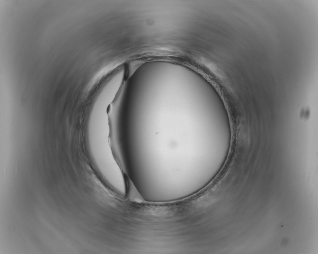 X0000091081402200709041230