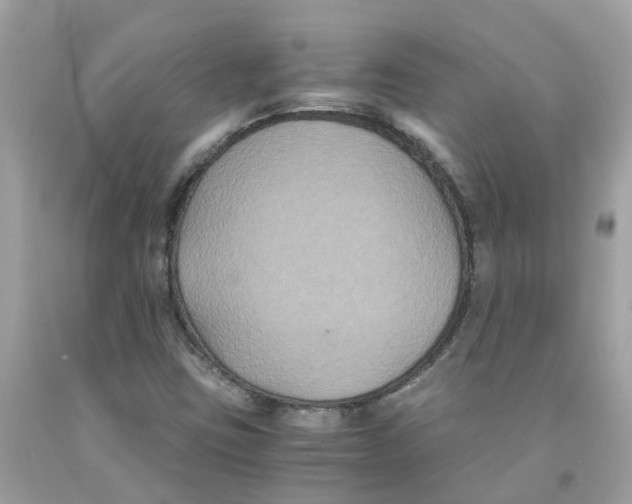 X0000091081403200709041230