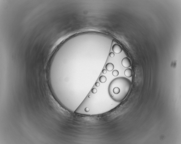 X0000091081404200709041230