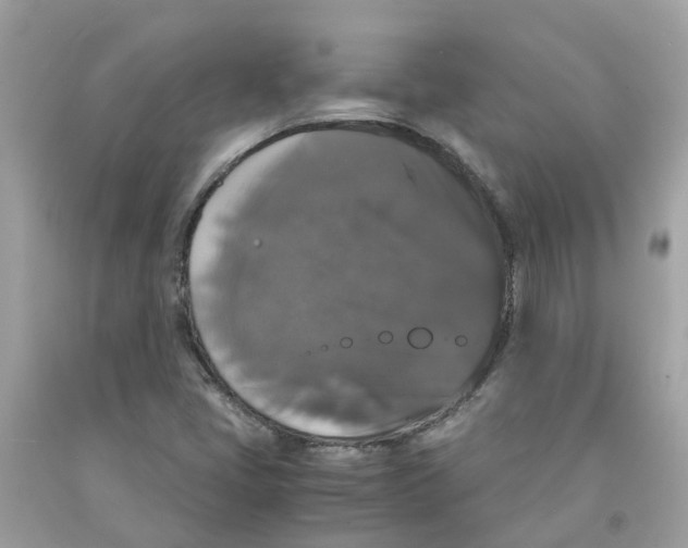 X0000091081405200709041230