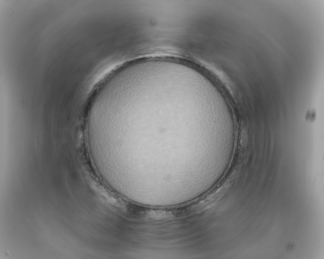 X0000091081407200709041230