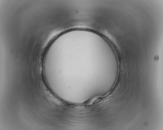 X0000091081408200709041230