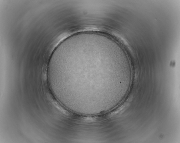 X0000091081409200709041230