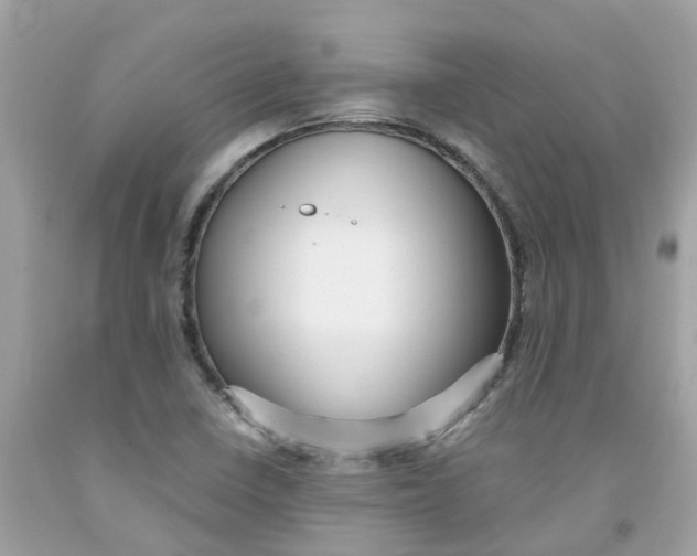 X0000091081410200709041230