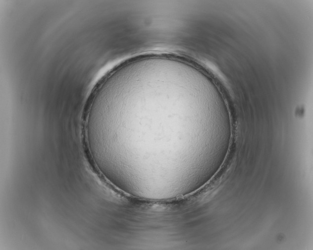 X0000091081412200709041231