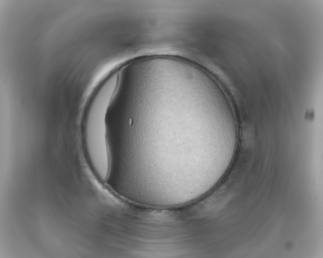 X0000091081416200709041231