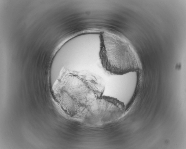 X0000091081417200709041231